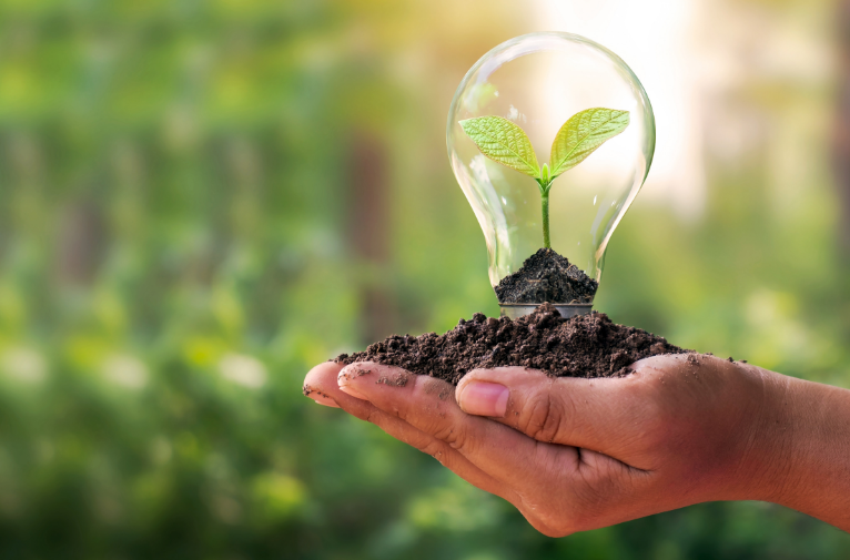 Creating a Climate Conscious Culture Within the Workplace: Tips for SMEs 